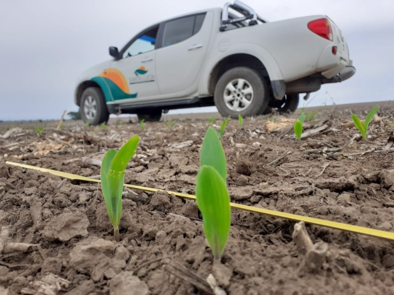 Asesoramiento agronómico