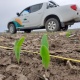 Asesoramiento agronómico